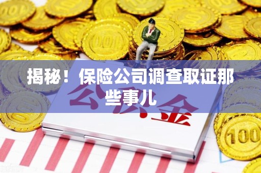 乐平揭秘！保险公司调查取证那些事儿