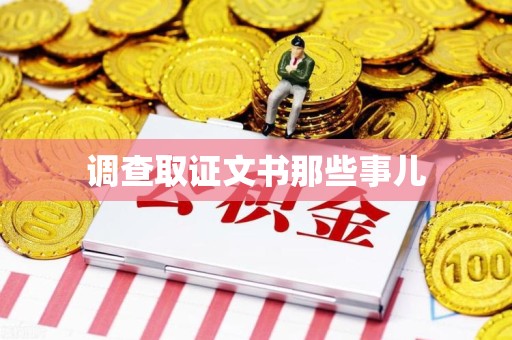 乐平调查取证文书那些事儿