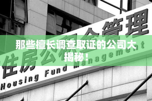 乐平那些擅长调查取证的公司大揭秘！