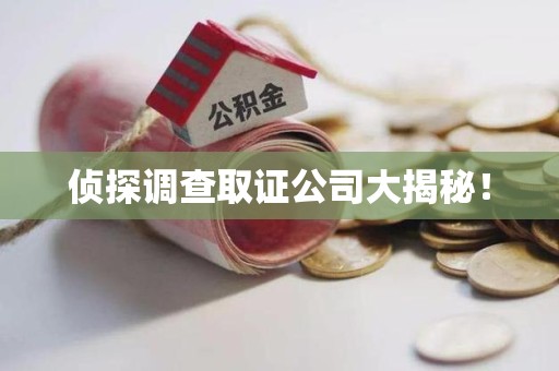 乐平侦探调查取证公司大揭秘！