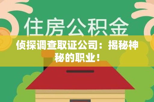 乐平侦探调查取证公司：揭秘神秘的职业！