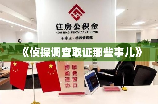 乐平《侦探调查取证那些事儿》