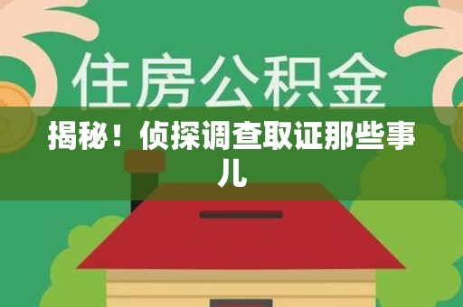 乐平揭秘！侦探调查取证那些事儿