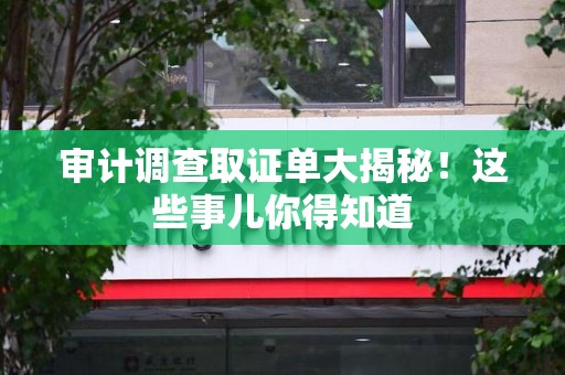 乐平审计调查取证单大揭秘！这些事儿你得知道
