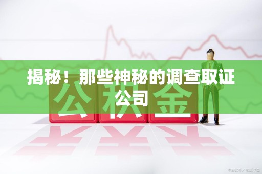 乐平揭秘！那些神秘的调查取证公司