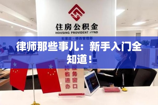 乐平律师那些事儿：新手入门全知道！
