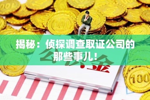 乐平揭秘：侦探调查取证公司的那些事儿！