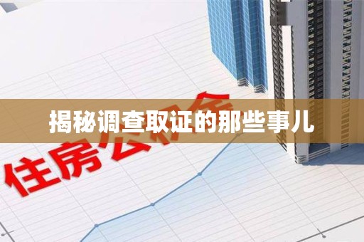 乐平揭秘调查取证的那些事儿