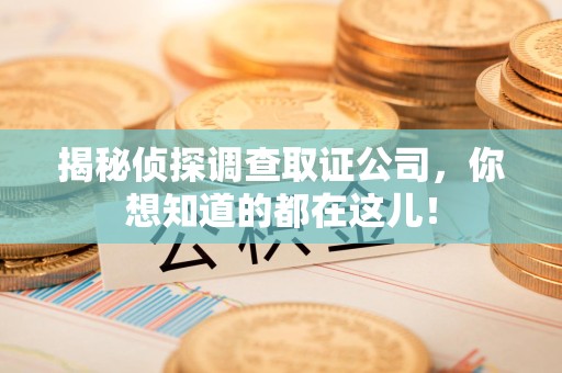 乐平揭秘侦探调查取证公司，你想知道的都在这儿！