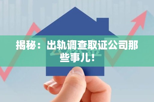 乐平揭秘：出轨调查取证公司那些事儿！