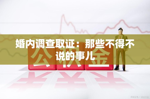 乐平婚内调查取证：那些不得不说的事儿