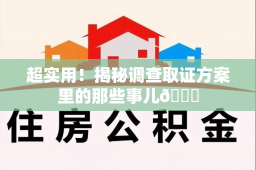 乐平超实用！揭秘调查取证方案里的那些事儿😎