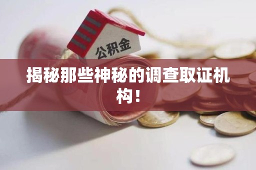 乐平揭秘那些神秘的调查取证机构！