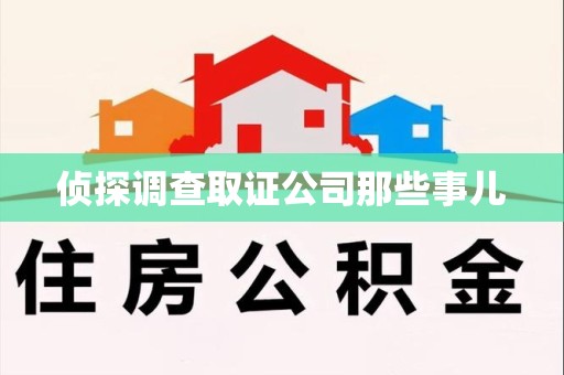 乐平侦探调查取证公司那些事儿