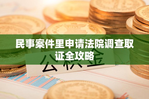 乐平民事案件里申请法院调查取证全攻略