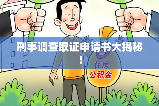 乐平刑事调查取证申请书大揭秘！