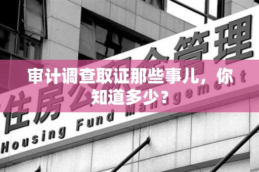 乐平审计调查取证那些事儿，你知道多少？