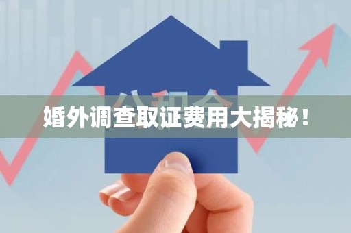 乐平婚外调查取证费用大揭秘！