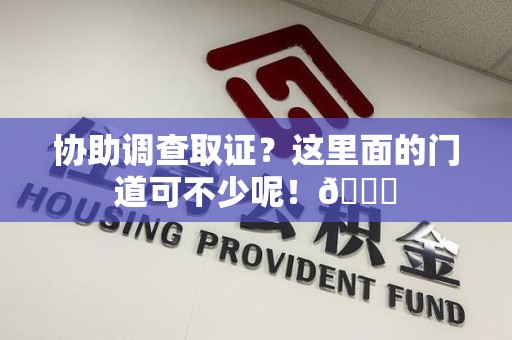 乐平协助调查取证？这里面的门道可不少呢！😎