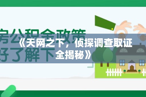乐平《天网之下，侦探调查取证全揭秘》