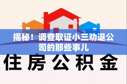 乐平揭秘！调查取证小三劝退公司的那些事儿