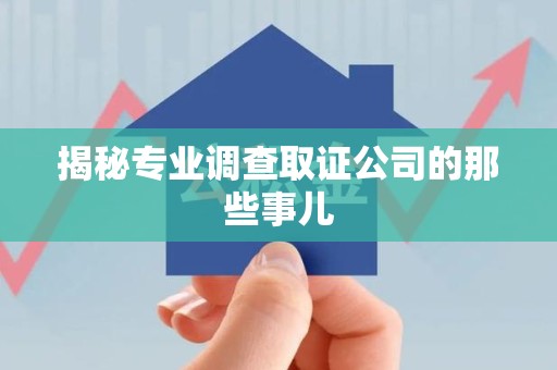 乐平揭秘专业调查取证公司的那些事儿