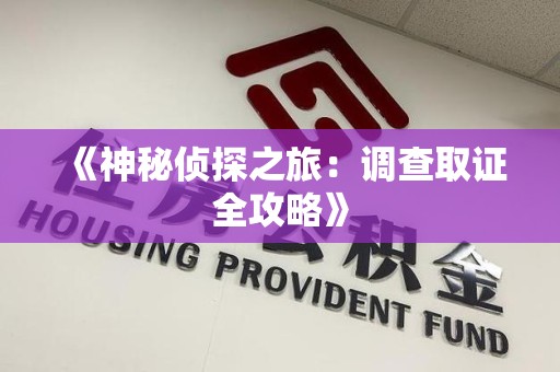 乐平《神秘侦探之旅：调查取证全攻略》