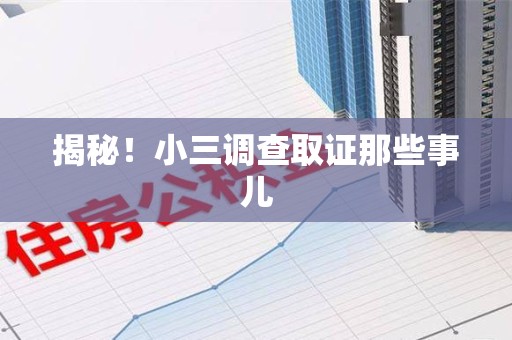 乐平揭秘！小三调查取证那些事儿