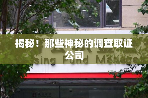 乐平揭秘！那些神秘的调查取证公司