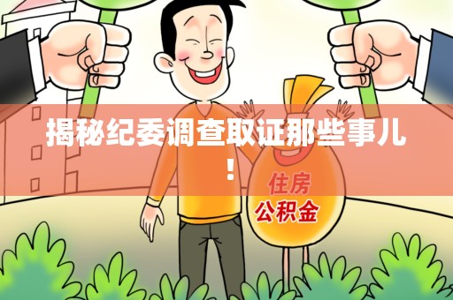 乐平揭秘纪委调查取证那些事儿！