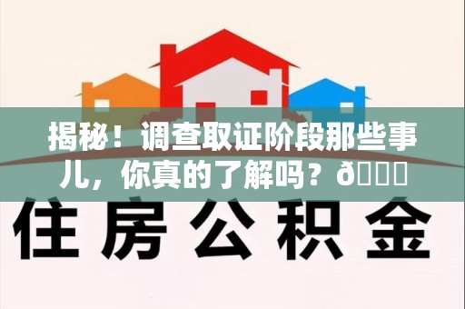 乐平揭秘！调查取证阶段那些事儿，你真的了解吗？😎