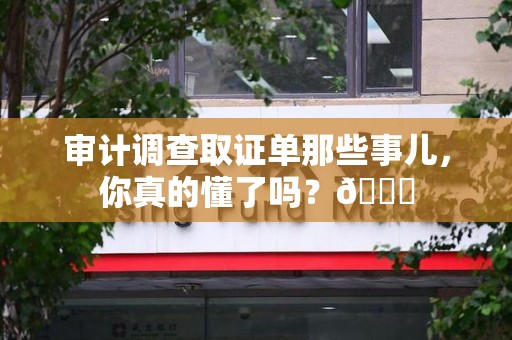 乐平审计调查取证单那些事儿，你真的懂了吗？😎