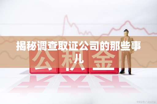 乐平揭秘调查取证公司的那些事儿