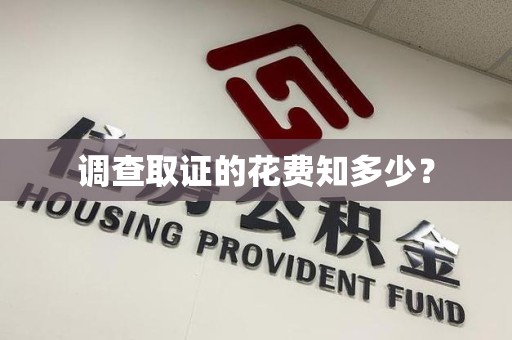 乐平调查取证的花费知多少？