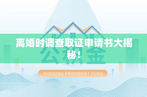 乐平离婚时调查取证申请书大揭秘！