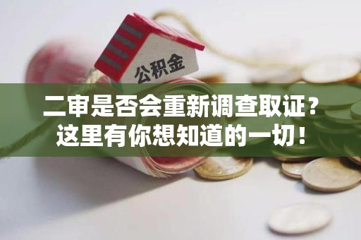 乐平二审是否会重新调查取证？这里有你想知道的一切！